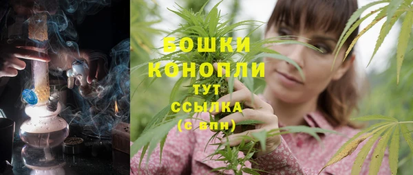 PSILOCYBIN Балахна