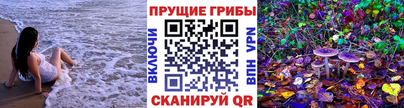 Галлюциногенные грибы мицелий  Ясногорск 